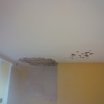 Old lathe plaster ceiling (removing)