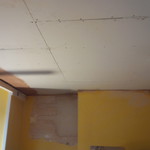 Old lathe plaster ceiling (re boarded)